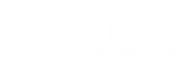 logo natalia de vasconcellos branco